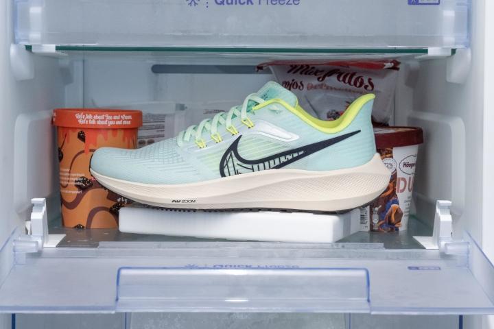 Pegasus 39 in the freezer