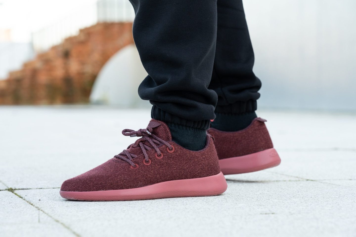 Cut in half Allbirds Wool Runners Review RunRepeat