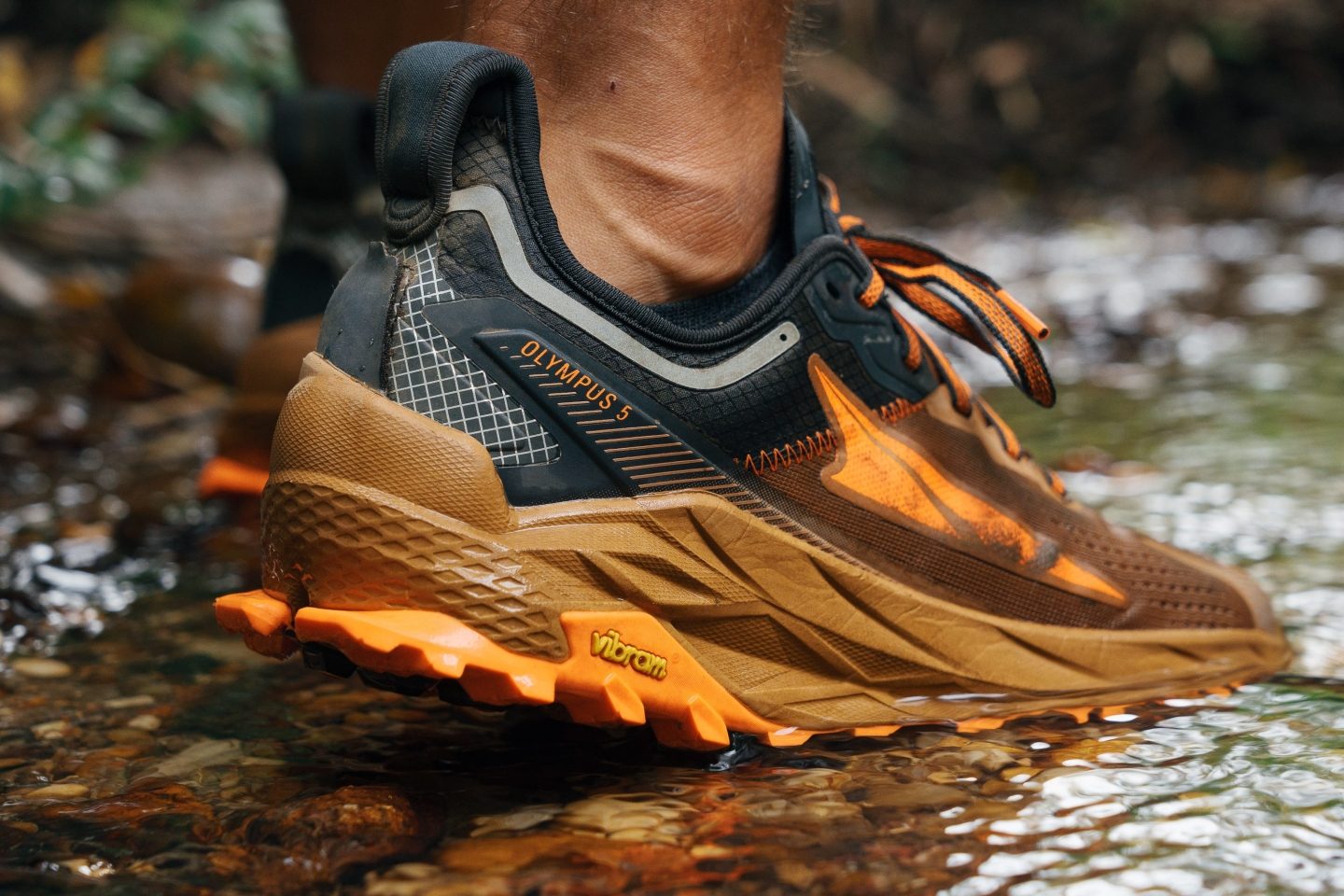 Cut in half: Altra Olympus 5 Review (2023) | RunRepeat