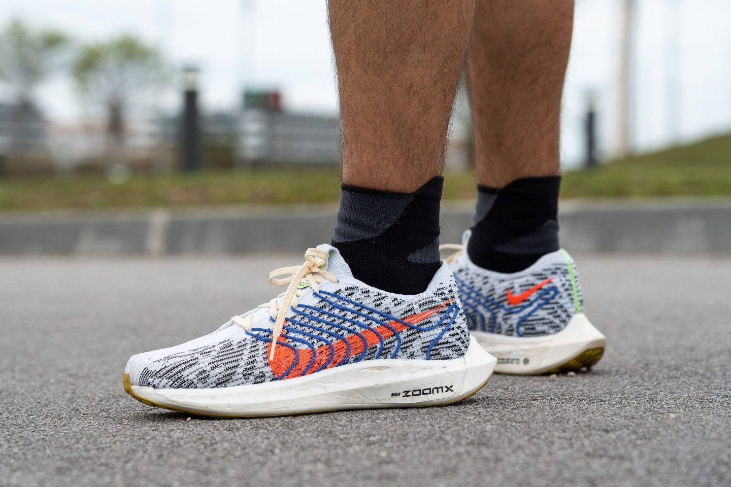 buy pegasus turbo
