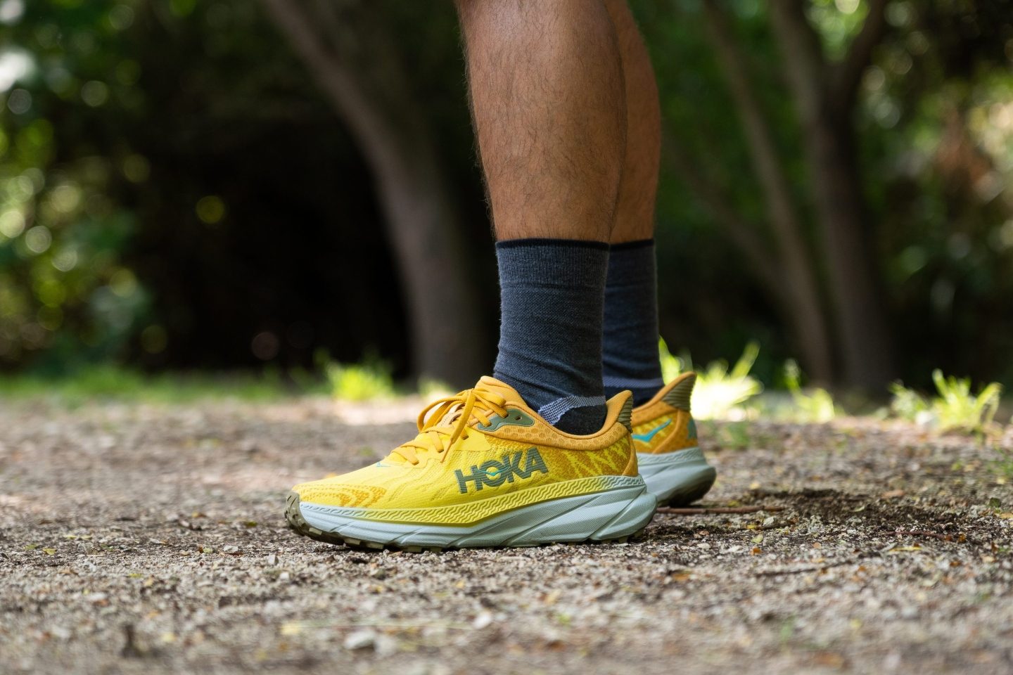 Cut in half: Hoka Challenger 7 Review | RunRepeat