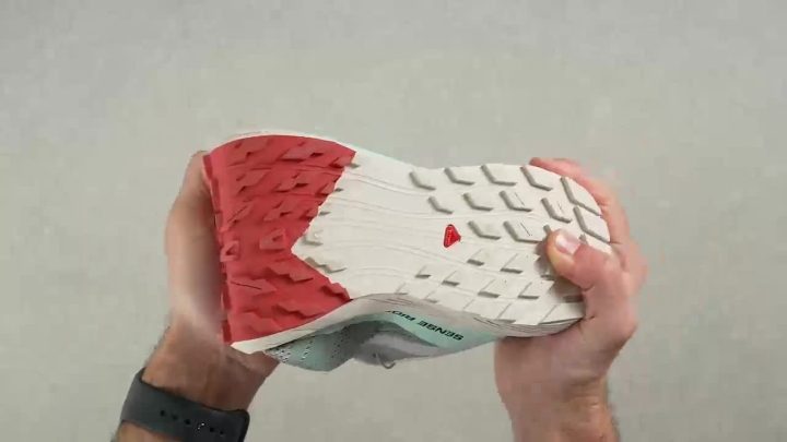 salomon sense ride 5 flex