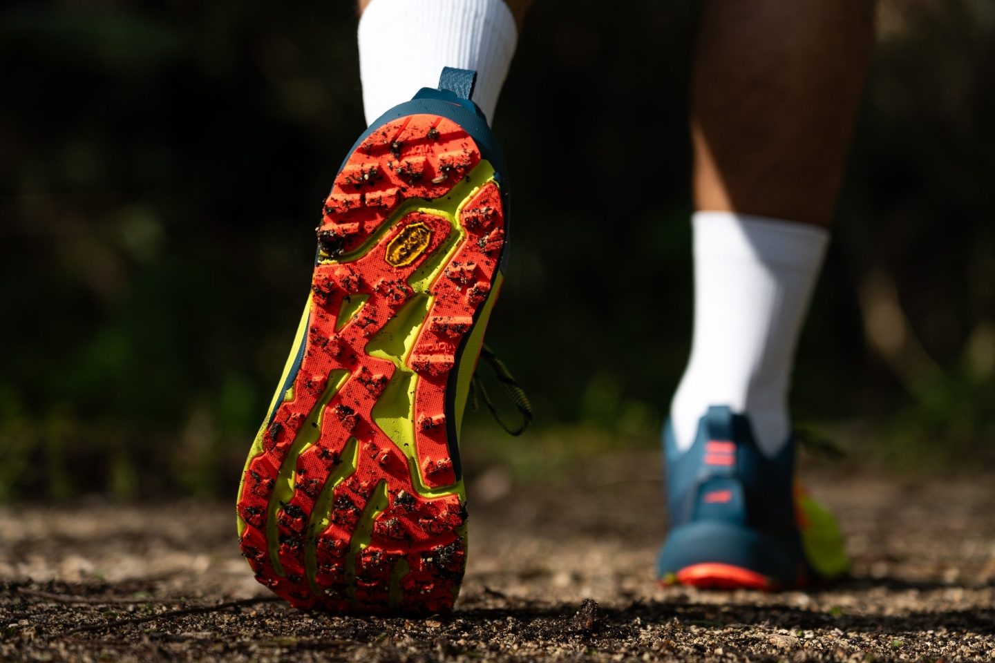 Cut in half: Altra Timp 5 Review (2024) | RunRepeat