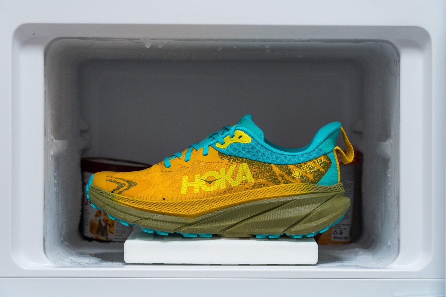 hoka challenger low gtx