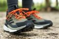 Adidas Terrex Free Hiker 2.0 Low GTX Price