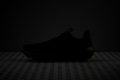 Salomon Elixir Activ GTX Reflective elements