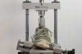 Salomon Elixir Activ GTX Torsional rigidity