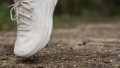 ASH Addict Leren sneaker met dikke zool in wit en fluoriserend geel run