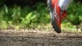 zapatillas de running Brooks competición talla 36 run