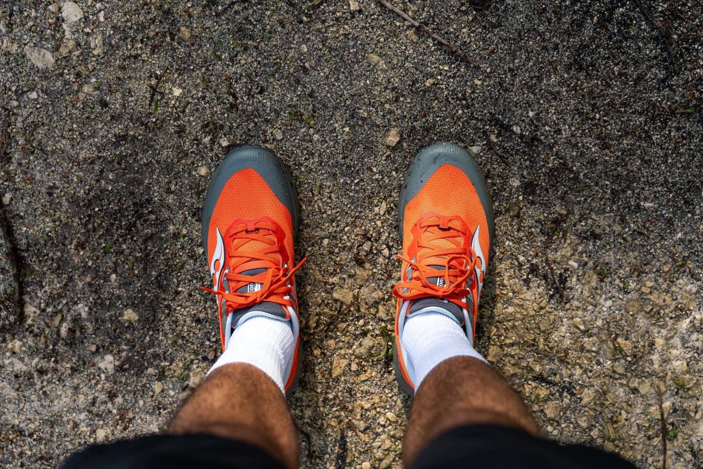 cut-in-half-saucony-peregrine-14-review-runrepeat