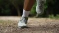 Nike Pegasus Trail 5 run