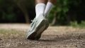 Nike Pegasus Trail 5 Running