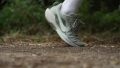Nike Pegasus Trail 5 running drop