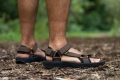 Teva Hydratrek review