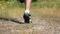 New Balance FuelCell XC7 v5 run back