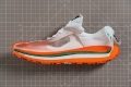 Nike ACG Mountain Fly 2 Low Drop