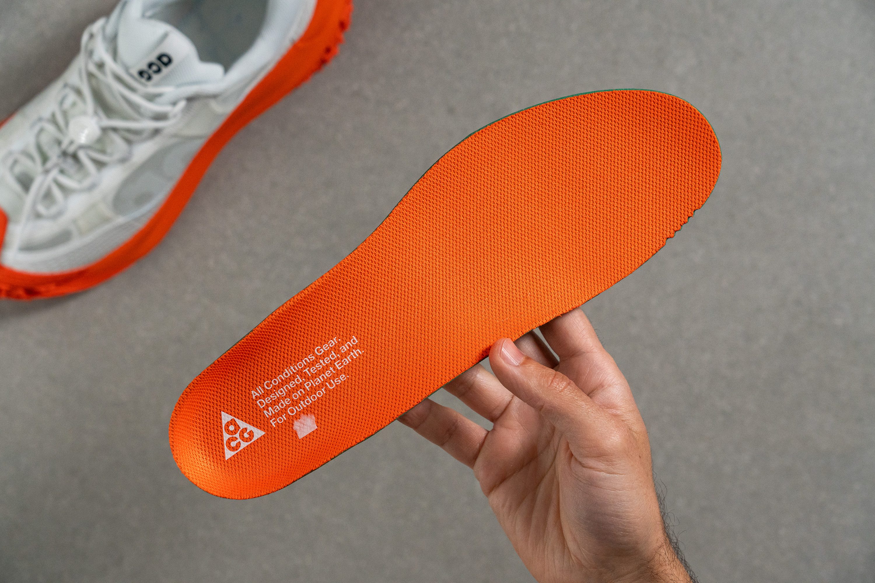 Nike ACG Mountain Fly 2 Low Removable insole