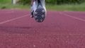 Saucony Endorphin Cheetah run forefoot