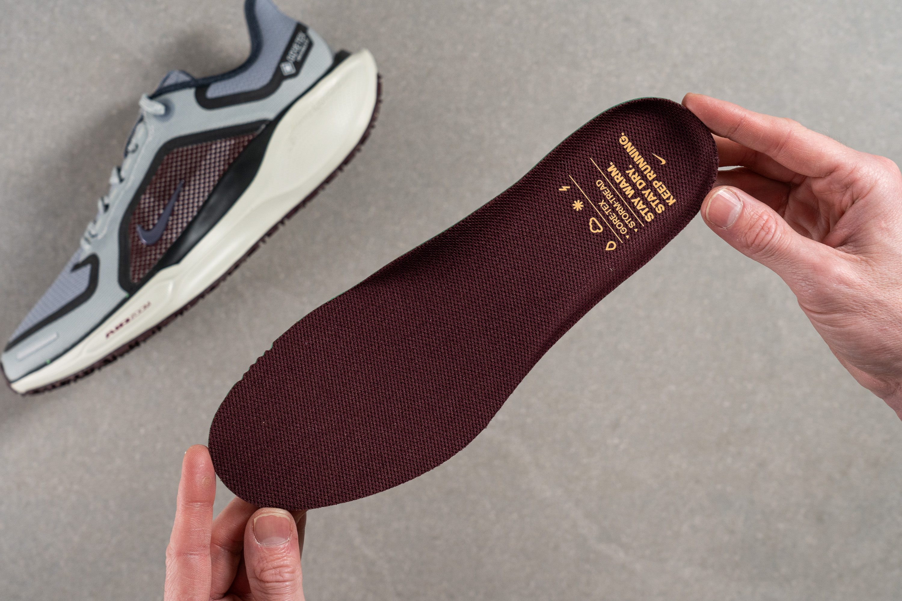 Nike Pegasus 41 GTX Removable insole