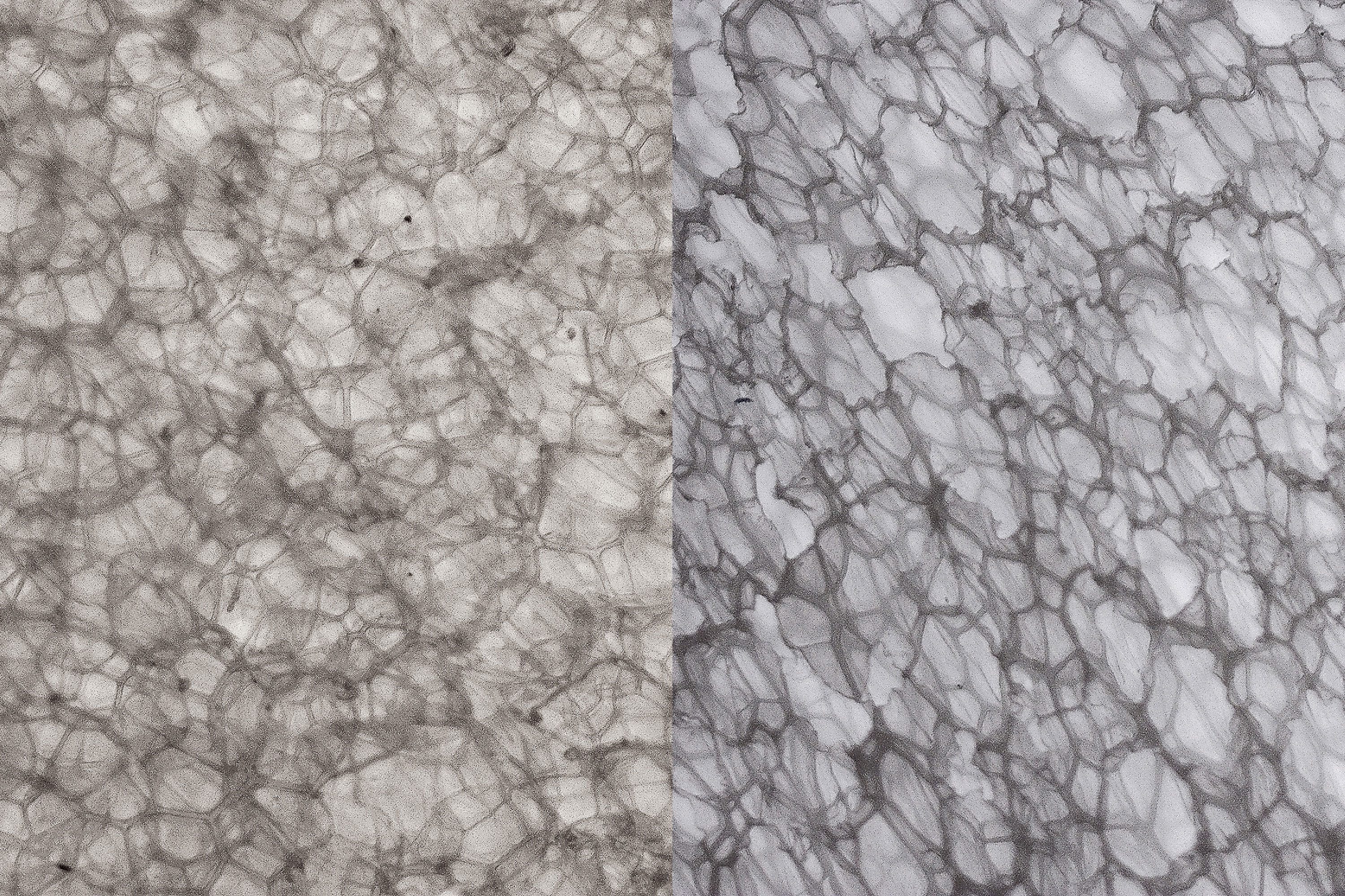 Nike Vomero 18 foam comparison