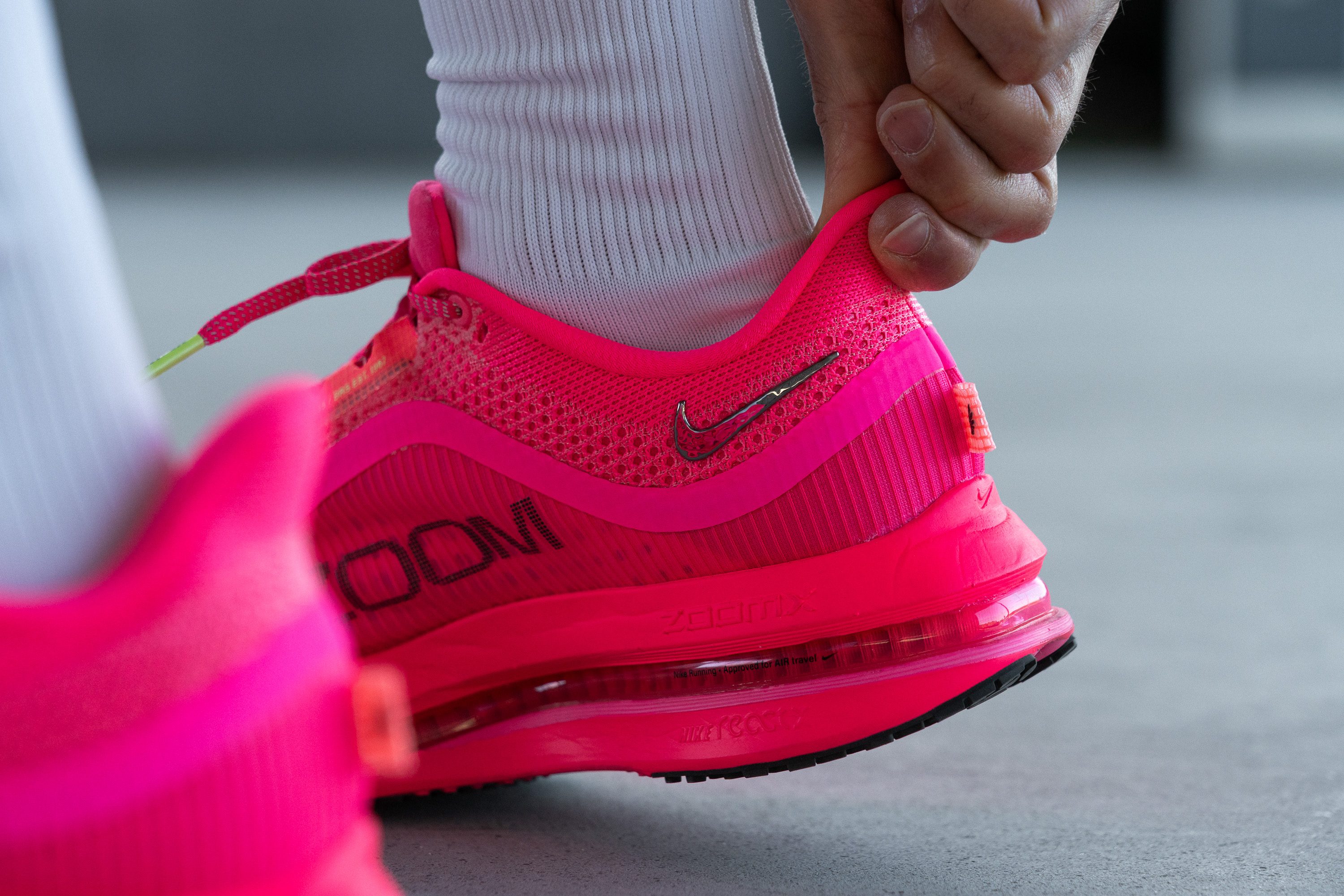 Nike Pegasus Premium Heel tab