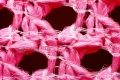 Nike Pegasus Premium microscope close