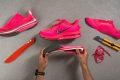 Nike Pegasus Premium parts