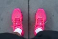 Nike Pegasus Premium view
