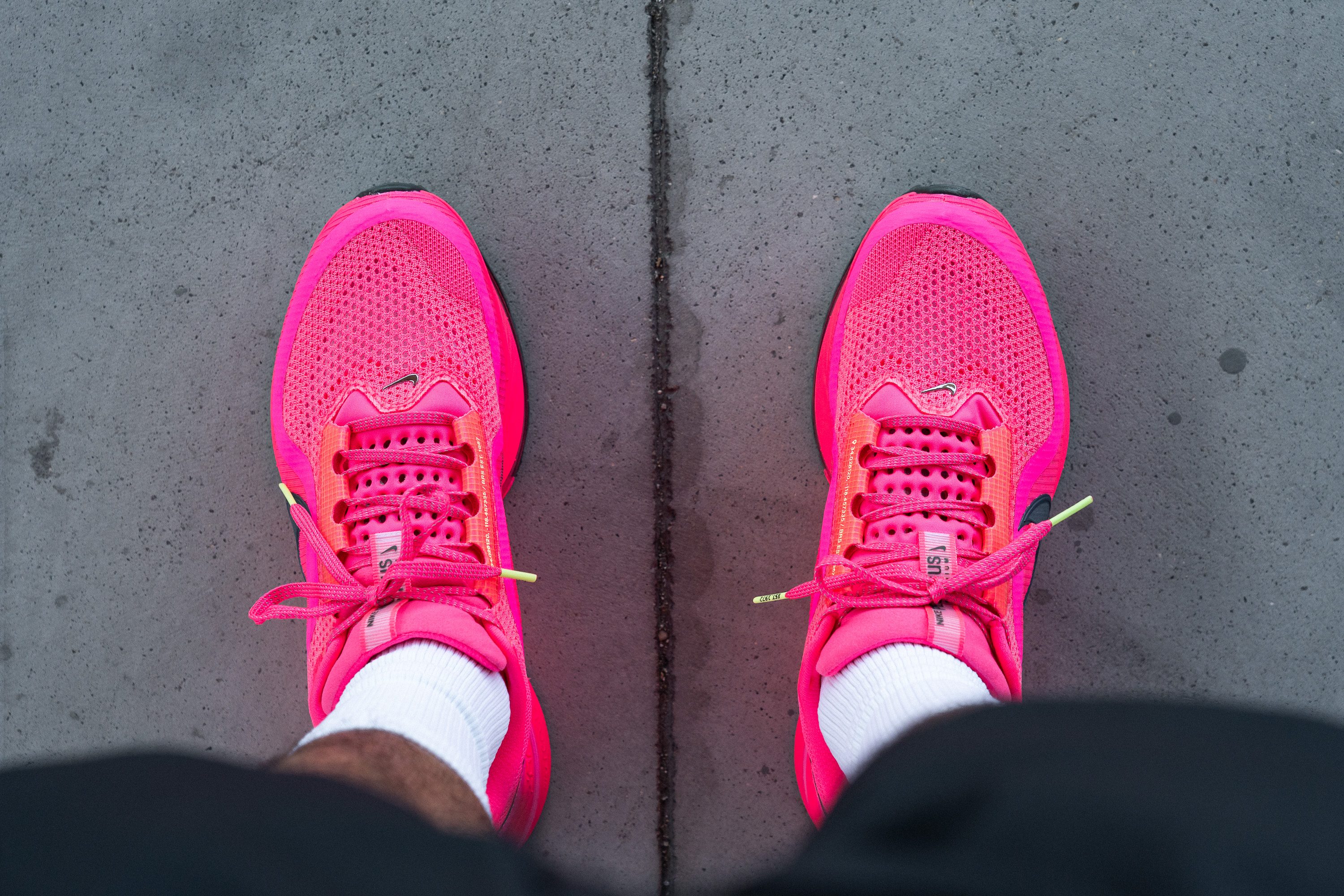 Nike Pegasus Premium view