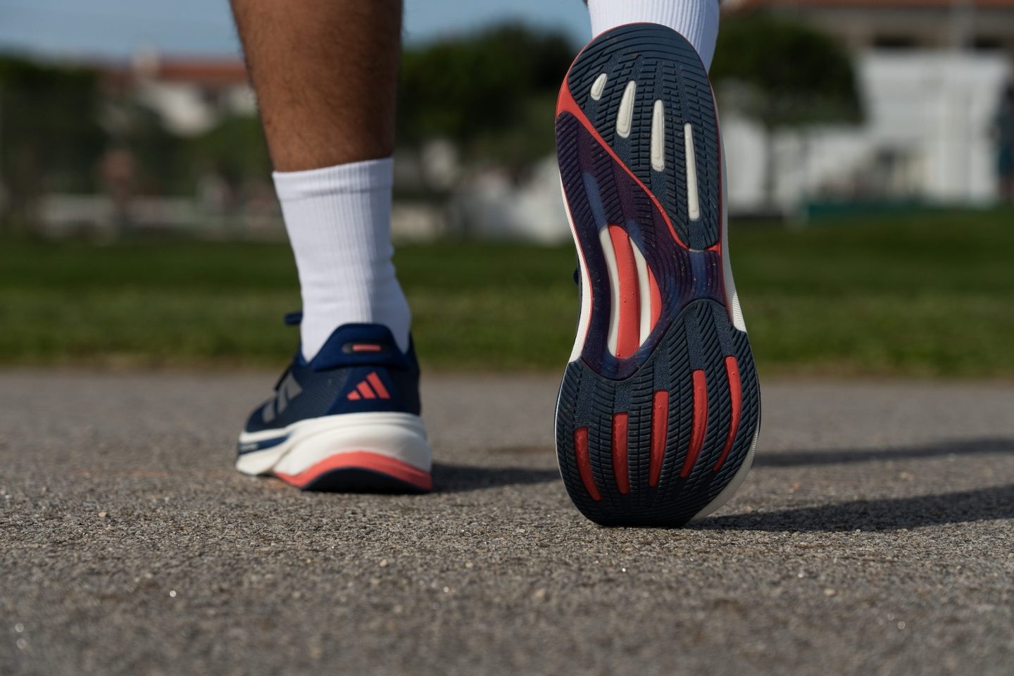Cut in half: Adidas Supernova Rise 2 Review (2025) | RunRepeat