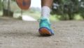Topo Ultraventure 4 run
