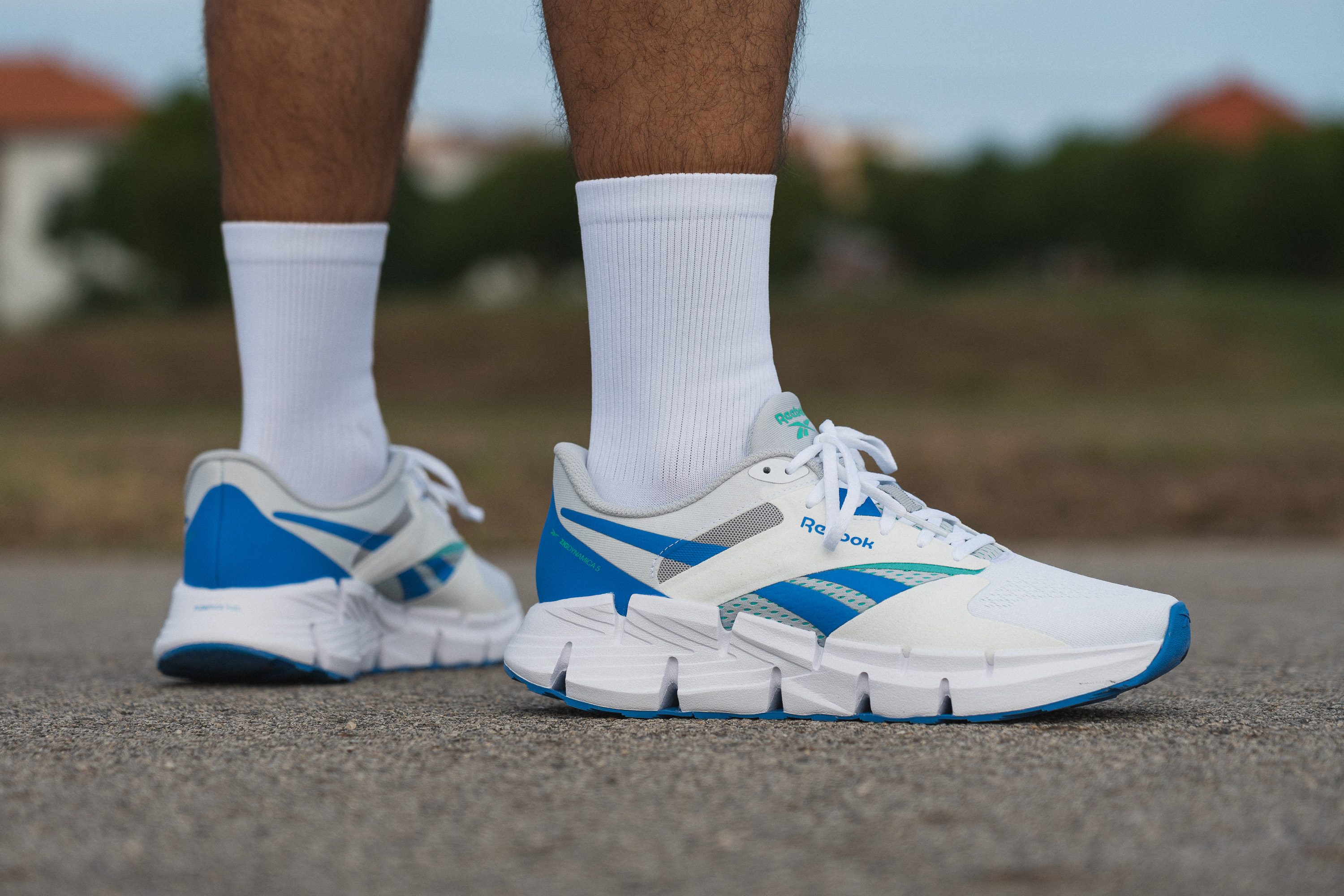 Reebok Zig Dynamica 5