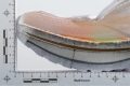 Saucony Endorphin Trainer Rocker