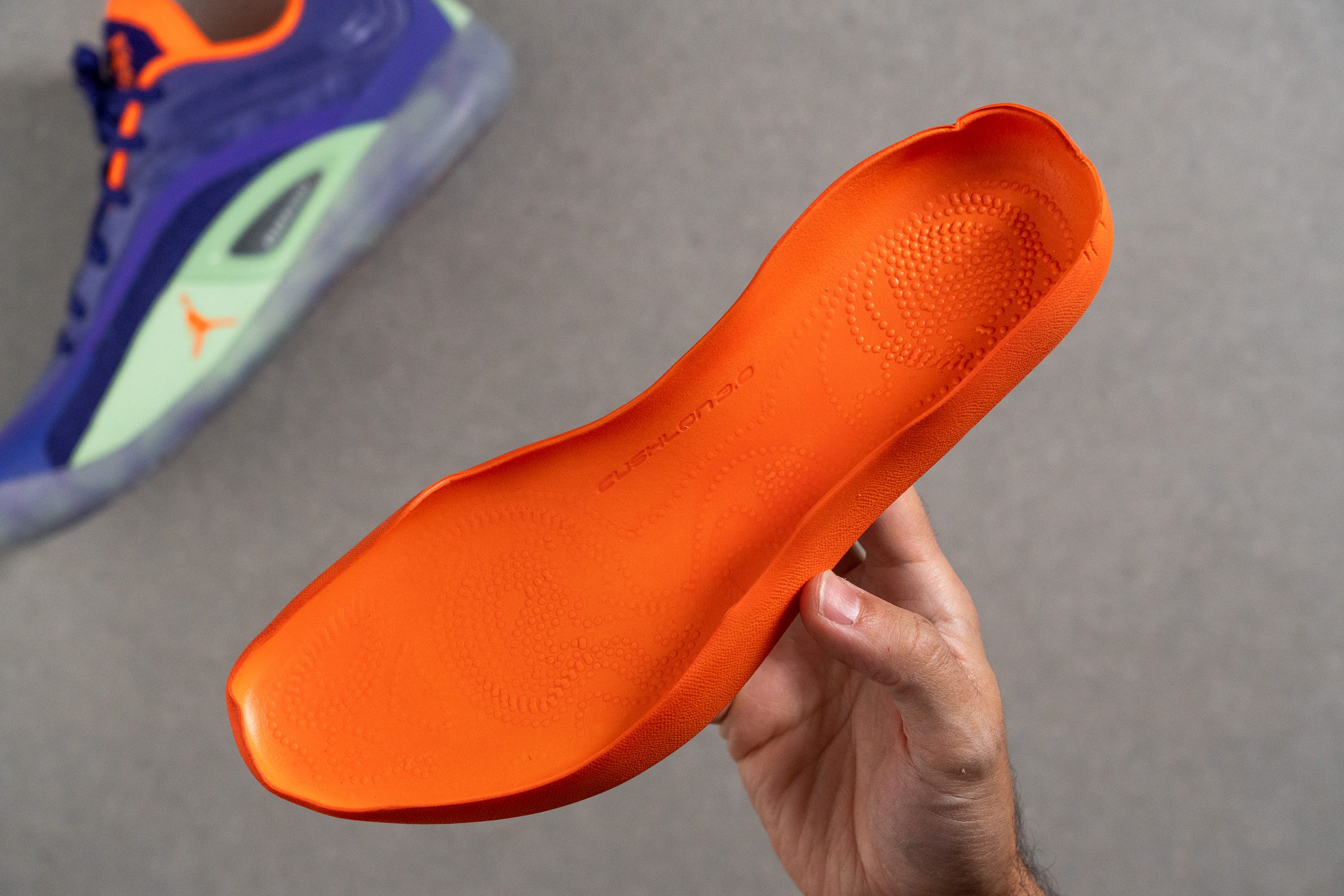 Jordan Zion 4 Removable insole