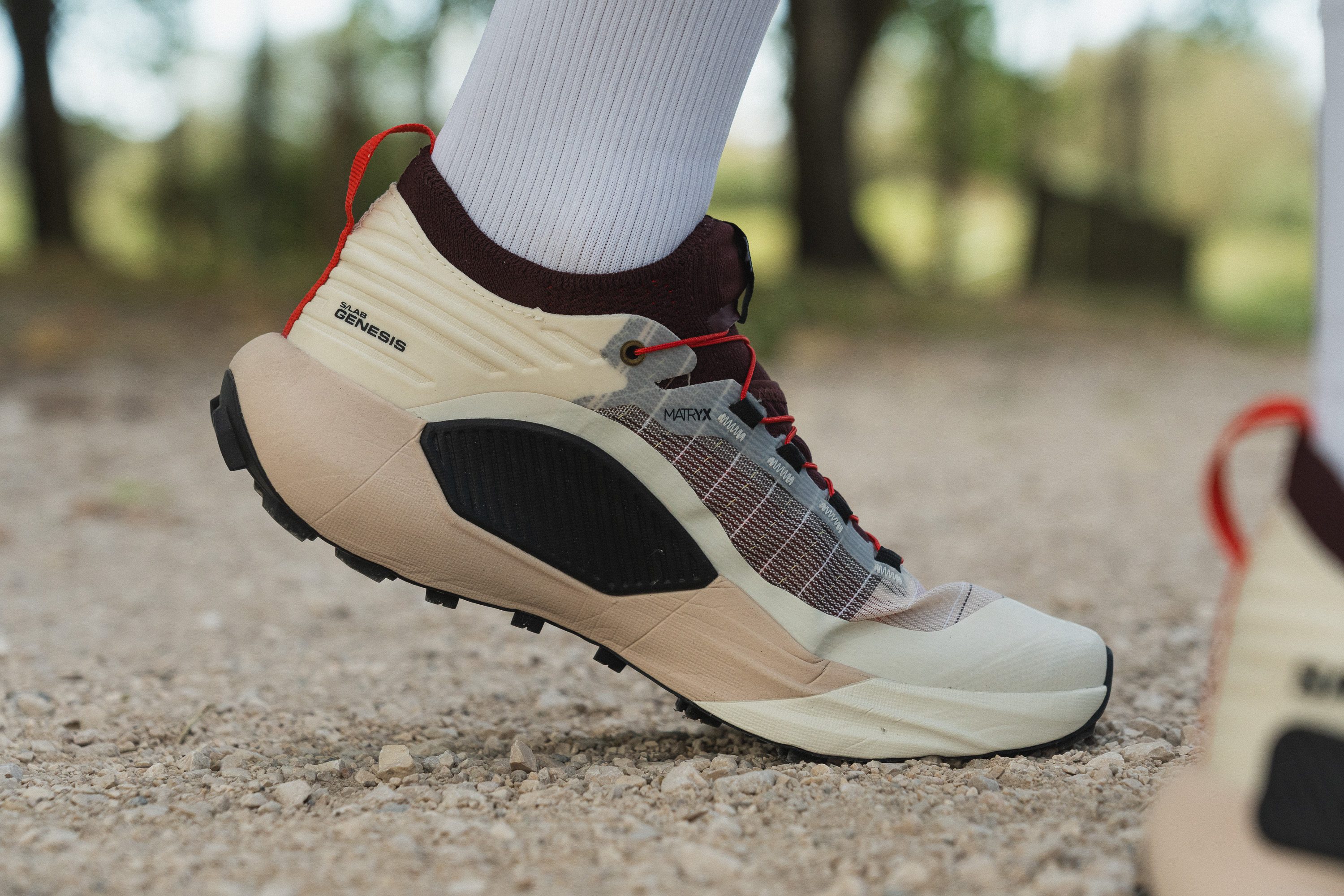 Salomon S/Lab Genesis support