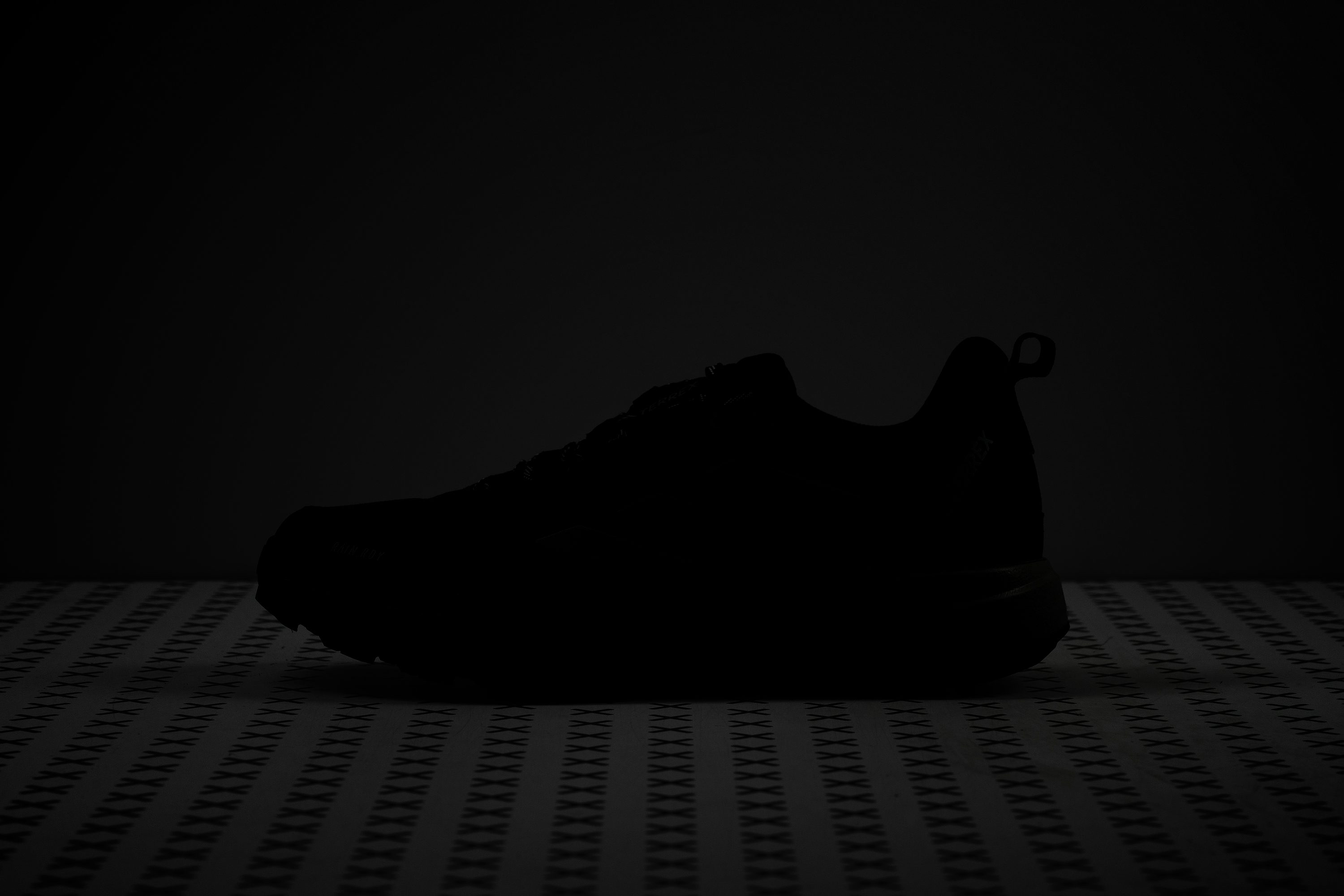 adidas Terrex Anylander Rain.Rdy Reflective elements