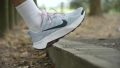 Nike Wildhorse 10 foam