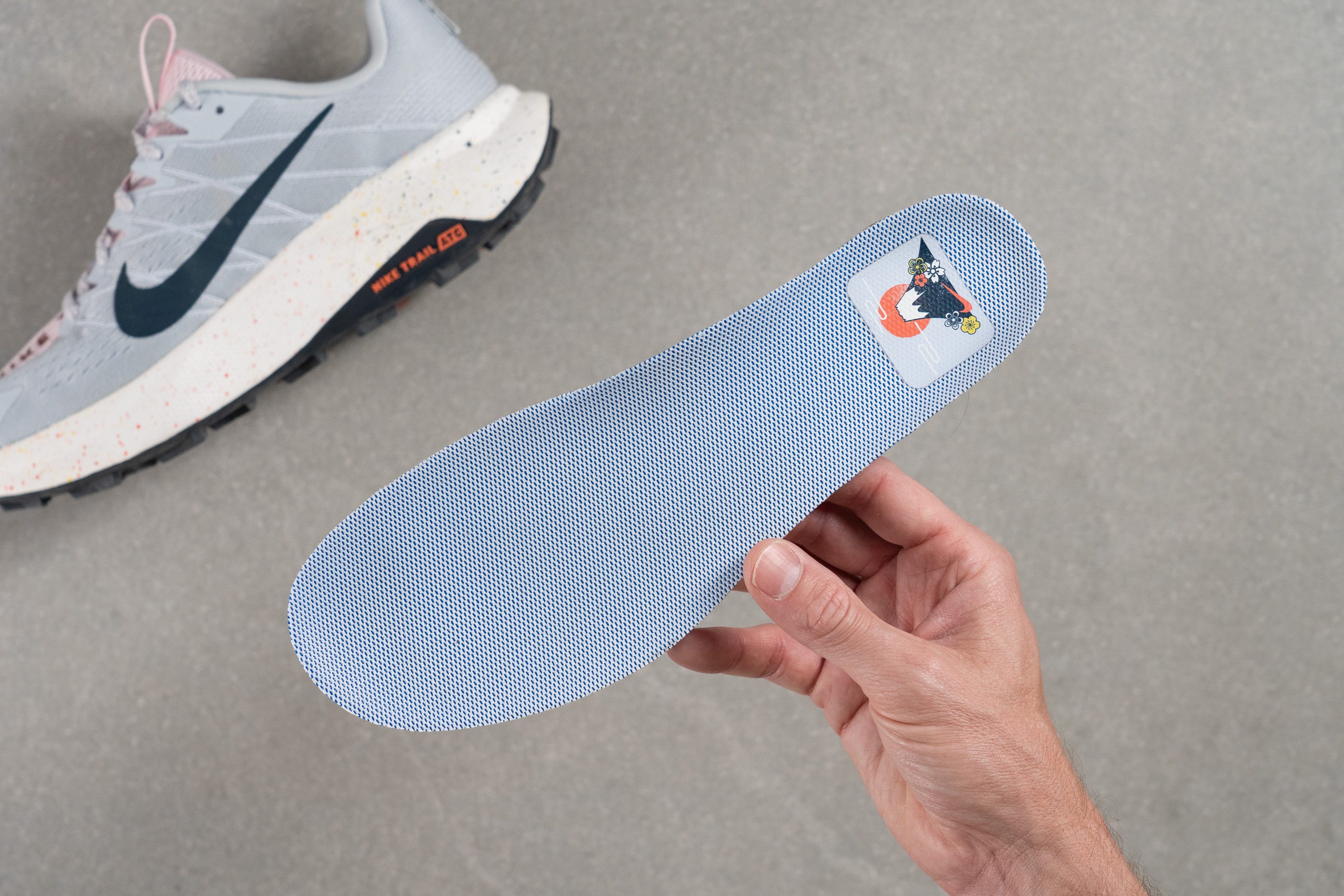 Nike Wildhorse 10 Removable insole