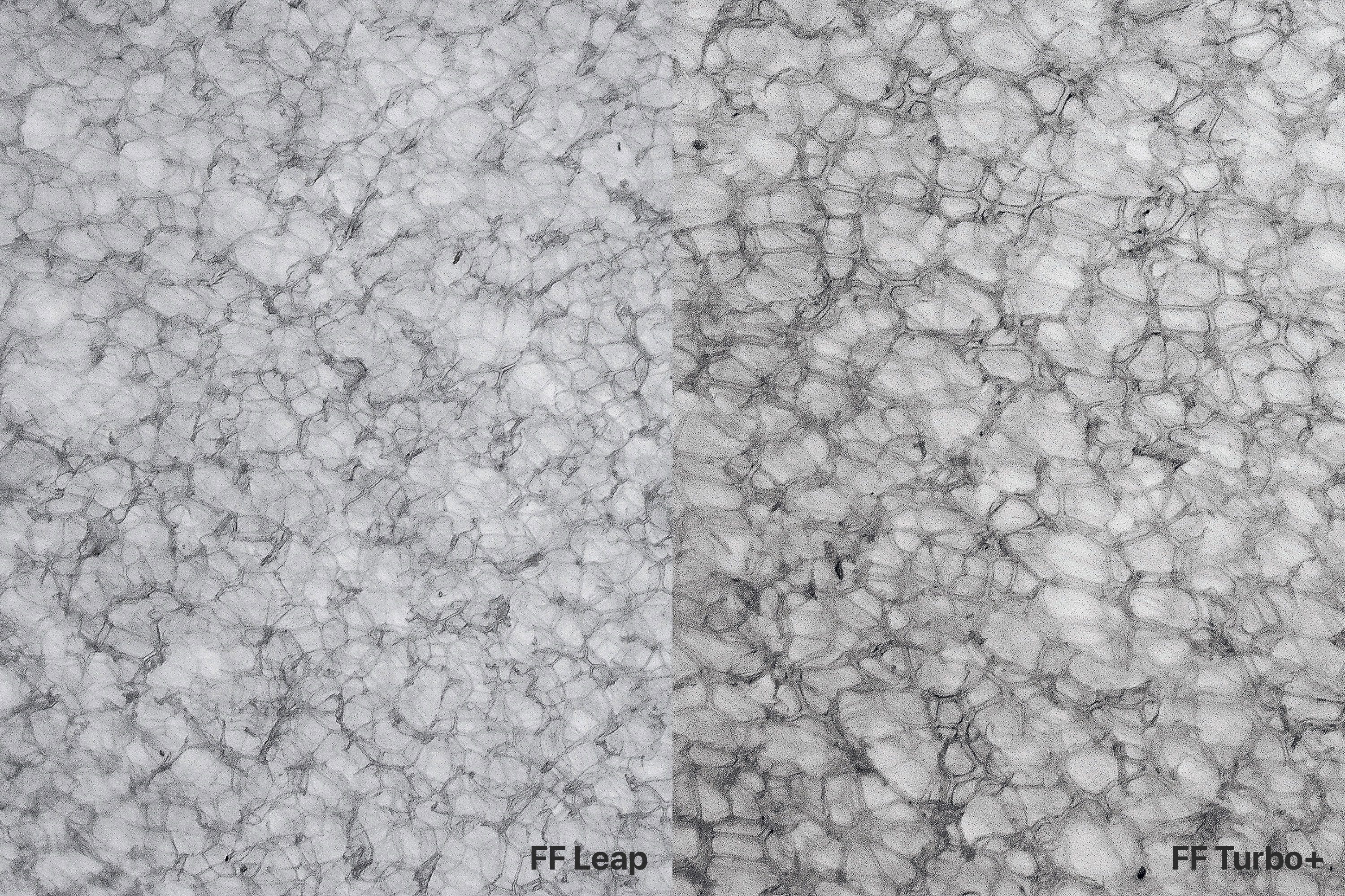 ASICS Metaspeed Edge Tokyo Foam Microscope