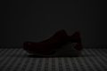 Salomon S/Lab Pulsar 4 Reflective elements