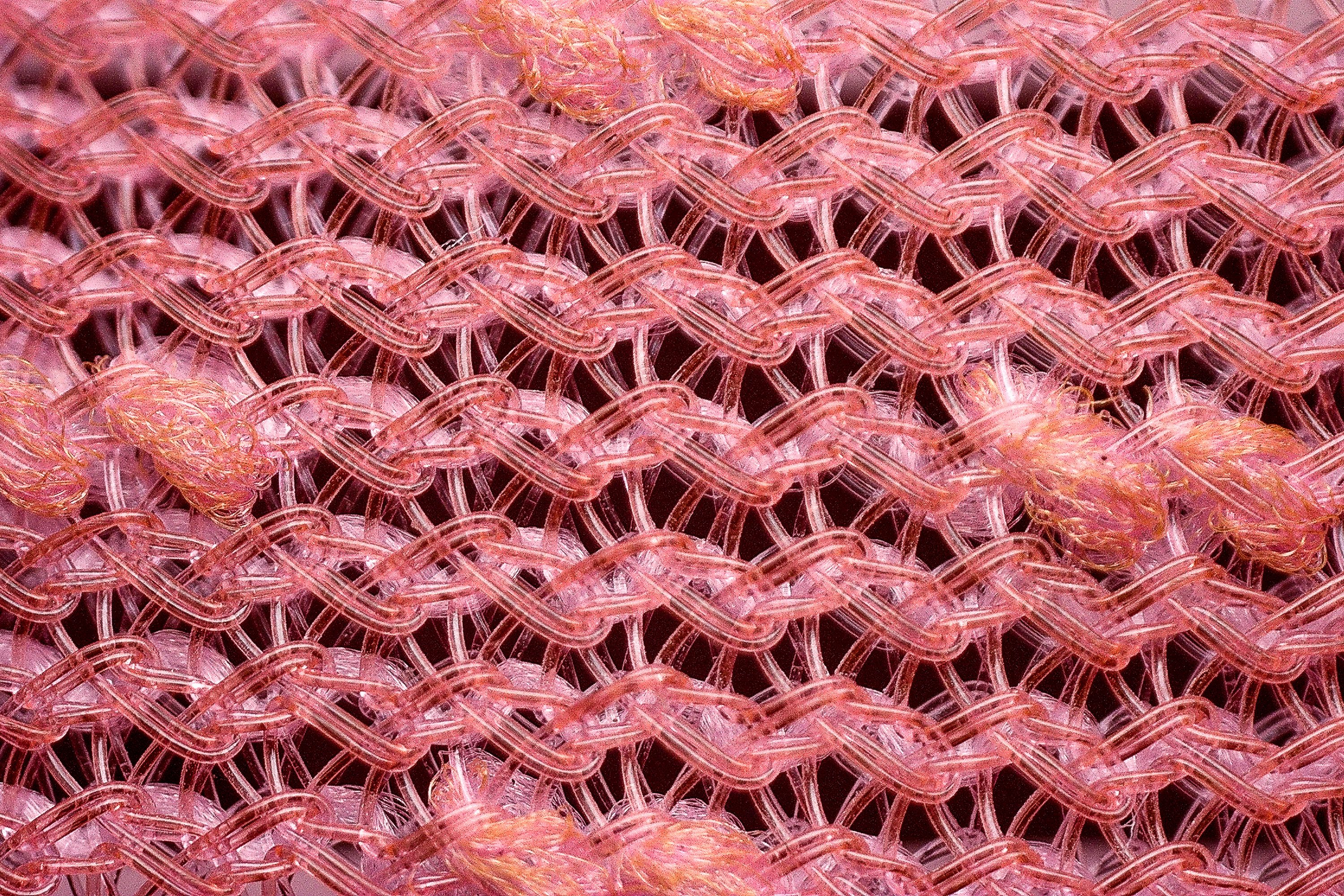New Balance FuelCell Rebel v5 microscope close up