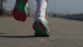 Saucony Endorphin Speed 5 run