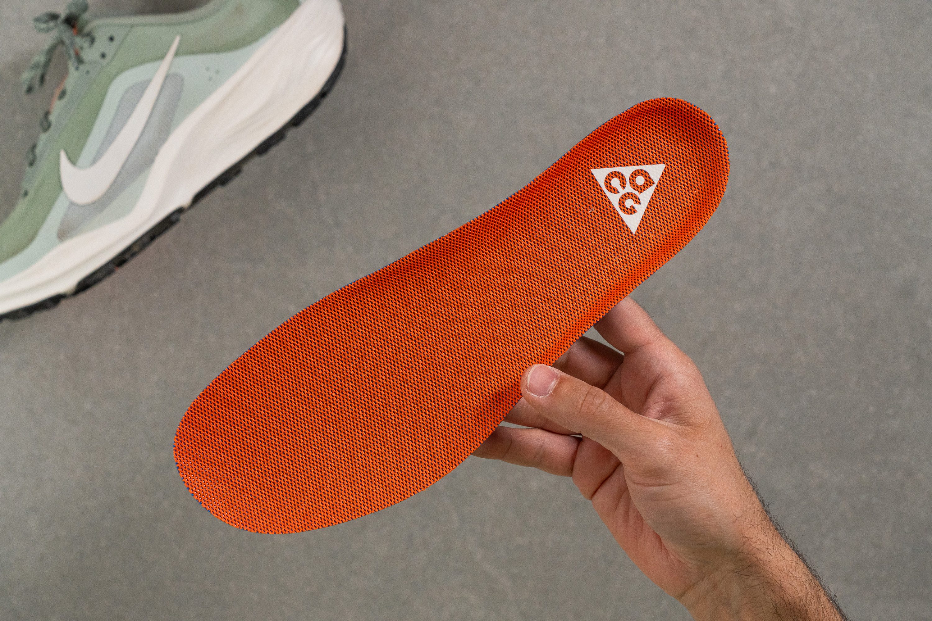Nike ACG Pegasus Trail Removable insole
