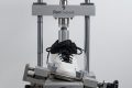 Adidas Dame X Torsional rigidity
