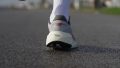 New Balance Fresh Foam X More v6 run