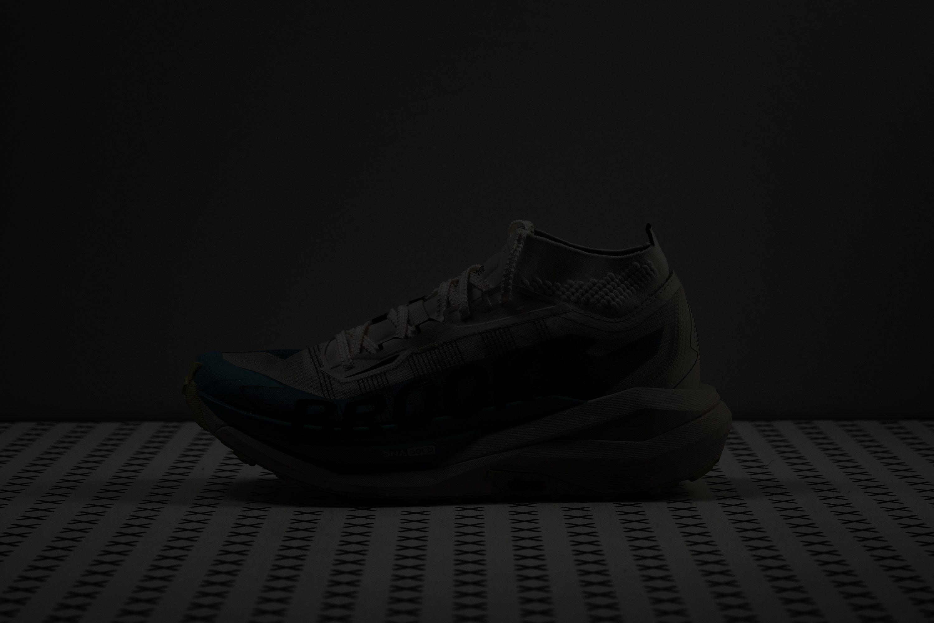 Brooks Cascadia Elite Reflective elements