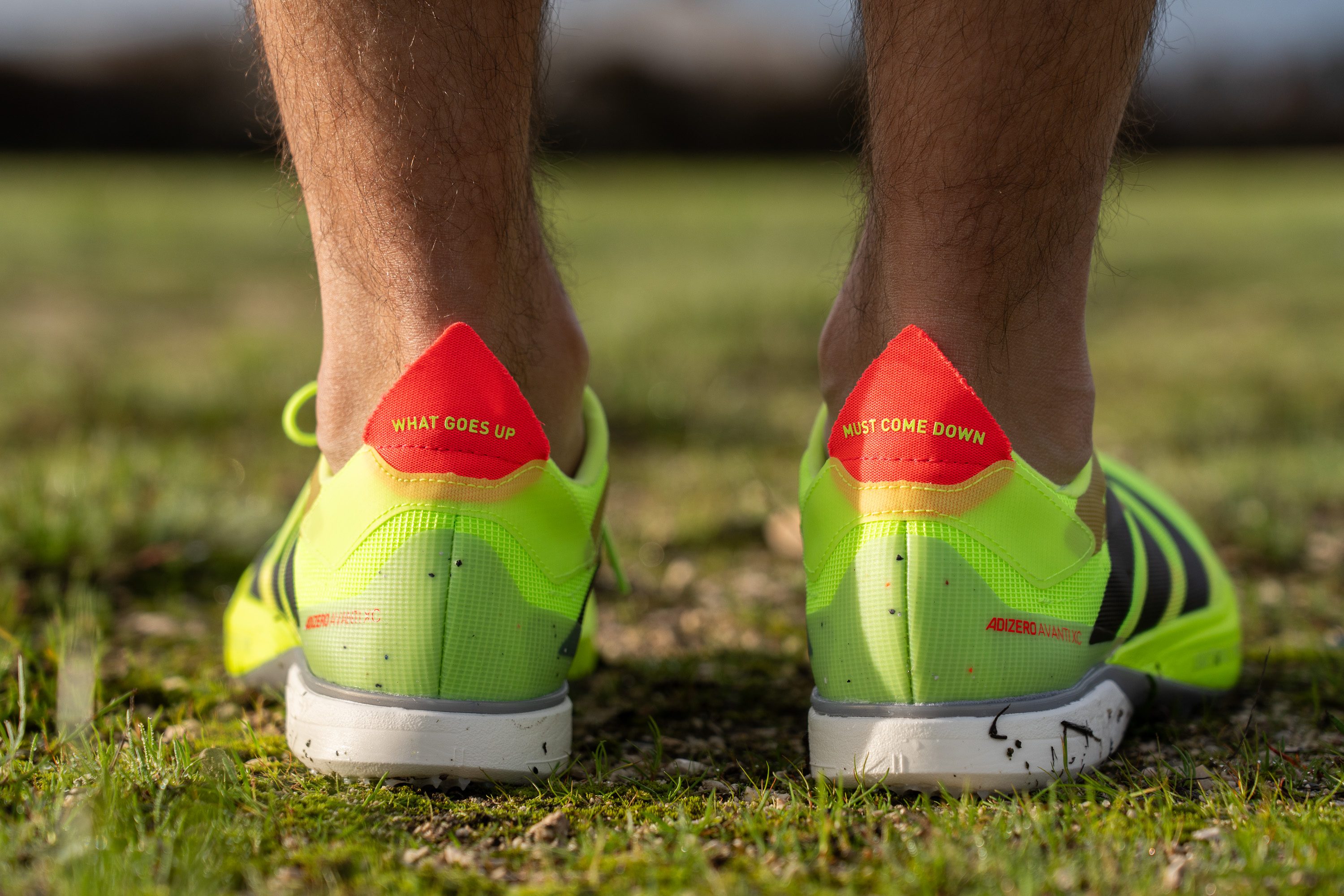 Adidas Adizero Avanti XC heel design