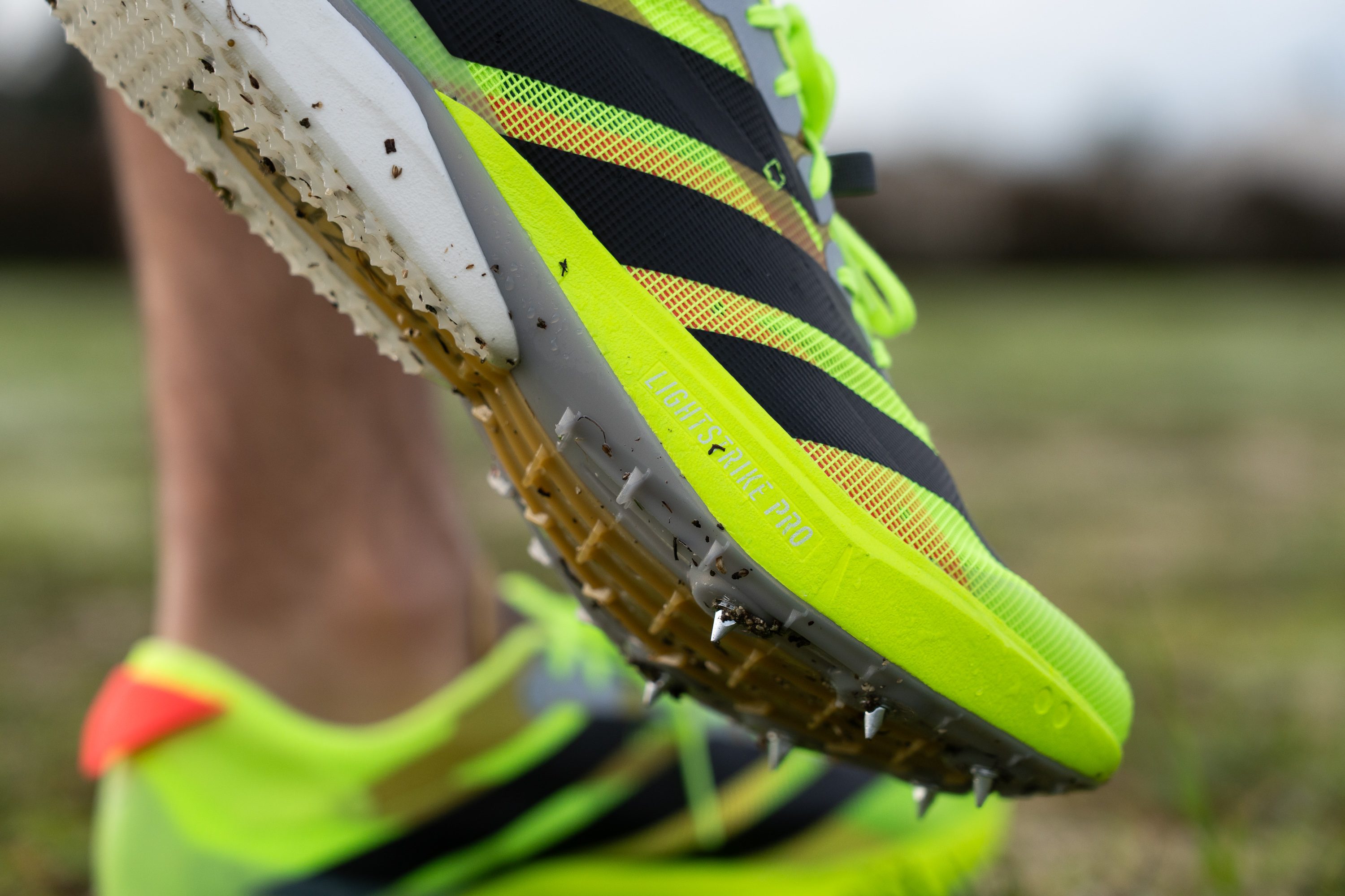 Adidas Adizero Avanti XC LSP