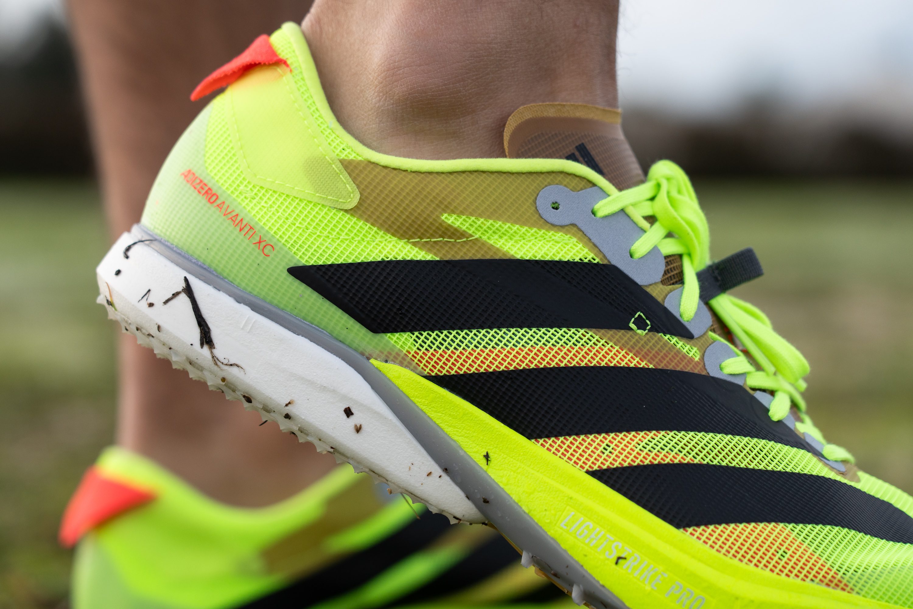 Adidas Adizero Avanti XC side