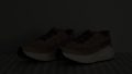 Salomon Aero Blaze 3 GRVL Reflective elements